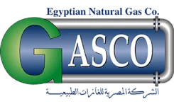 TEAM #19580 logo