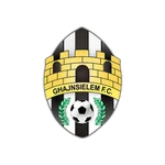 TEAM #19589 logo