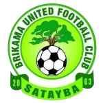 TEAM #19599 logo
