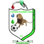 TEAM #19602 logo