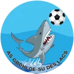 TEAM #19638 logo