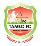 TEAM #19641 logo