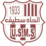 TEAM #19699 logo