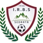 TEAM #19705 logo