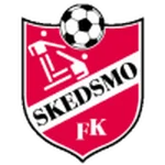 TEAM #19806 logo