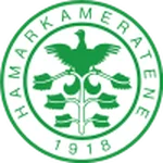 TEAM #19809 logo