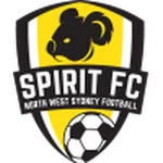TEAM #19826 logo