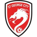 TEAM #19838 logo