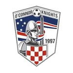 TEAM #19851 logo