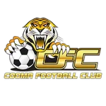 TEAM #19853 logo