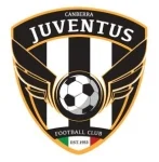 TEAM #19861 logo