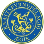 TEAM #19893 logo
