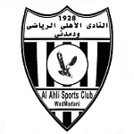 TEAM #19947 logo