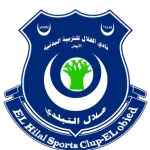 TEAM #19950 logo
