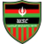TEAM #19988 logo