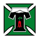TEAM #20018 logo