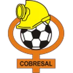 TEAM #20028 logo