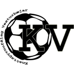 TEAM #20036 logo