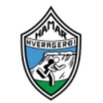 TEAM #20108 logo