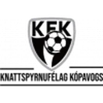 TEAM #20138 logo