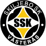 TEAM #20171 logo