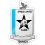 TEAM #20300 logo