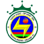 TEAM #20306 logo