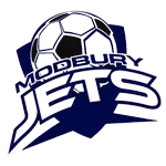 TEAM #20560 logo