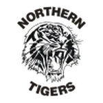 TEAM #20595 logo