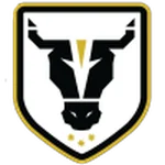 TEAM #20603 logo