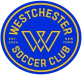 TEAM #20608 logo