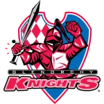 TEAM #20611 logo