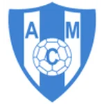 TEAM #20771 logo