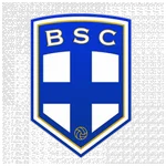 TEAM #20838 logo