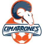 TEAM #20916 logo