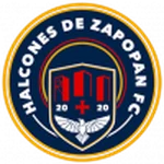 TEAM #20928 logo