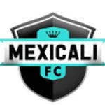 TEAM #20936 logo