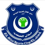 TEAM #20973 logo