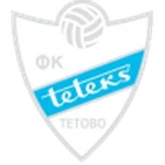 TEAM #21100 logo