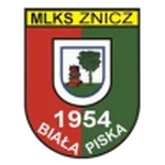 TEAM #21115 logo