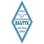 TEAM #21127 logo