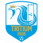 TEAM #21198 logo