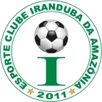 TEAM #21339 logo