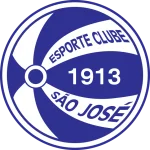 TEAM #21346 logo