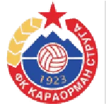 TEAM #21731 logo