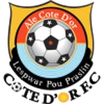 TEAM #21966 logo