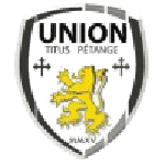 TEAM #2208 logo