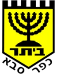 TEAM #22262 logo