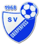 TEAM #22536 logo