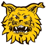 TEAM #24010 logo